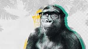 Monkee-Boy Web Design