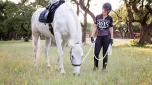 The Horsewise Company