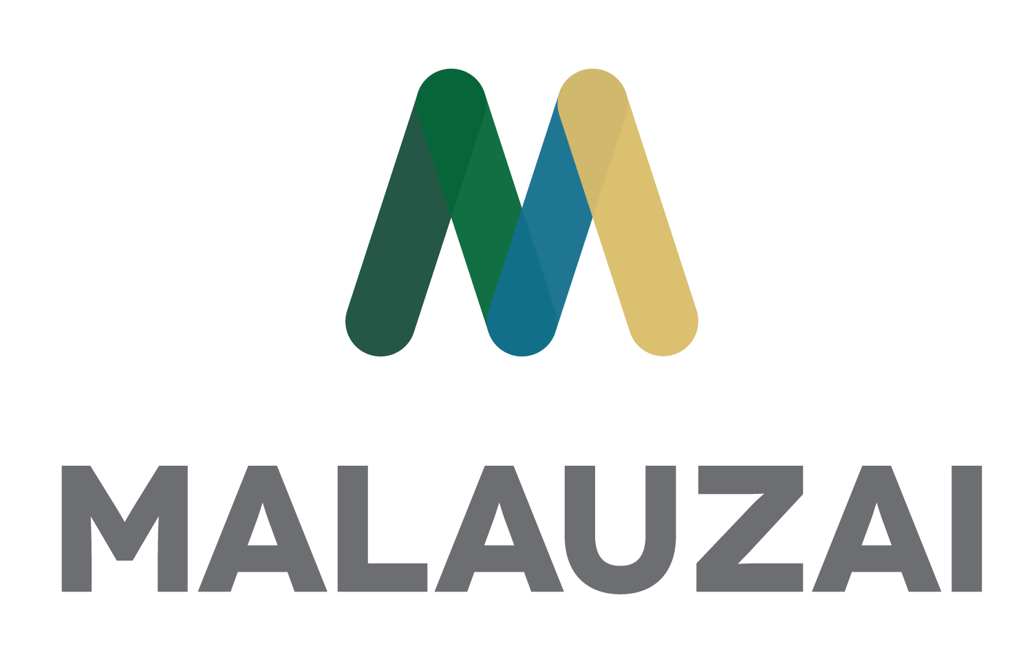 Malauzai Software